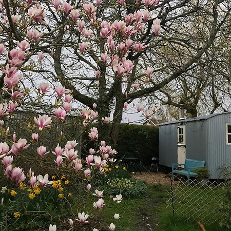 The Wayside Shepherd Hut Beaulieu Exterior photo