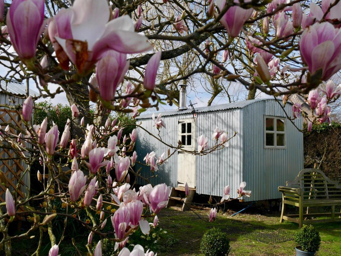 The Wayside Shepherd Hut Beaulieu Exterior photo