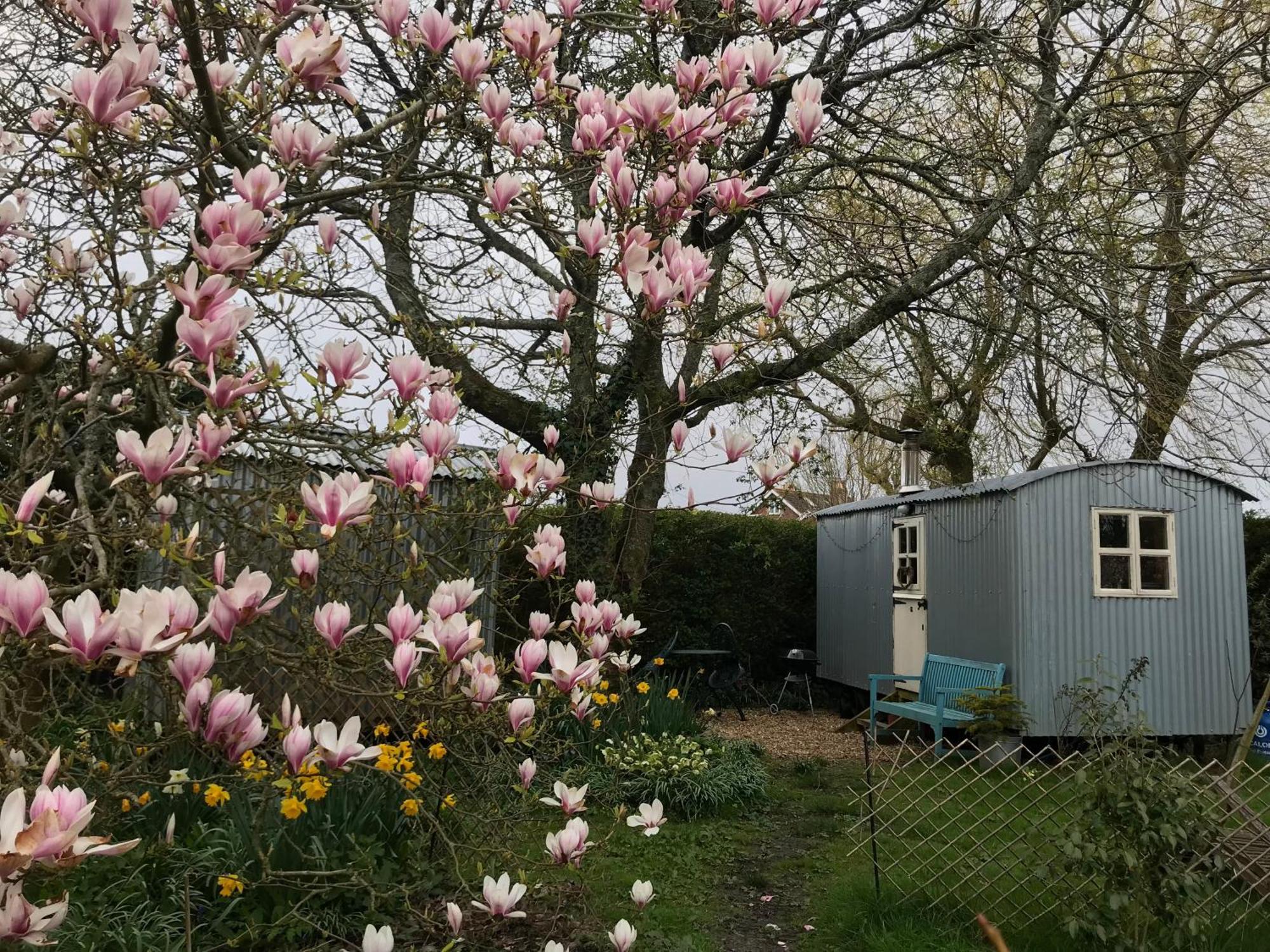The Wayside Shepherd Hut Beaulieu Exterior photo